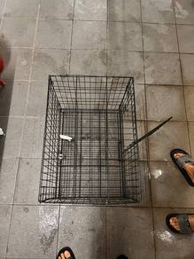sangkar kucing