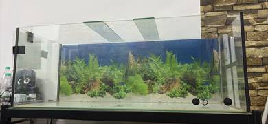 4 feet Aquarium