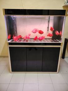aquarium sobo