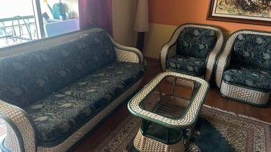 Rattan Set & TV 48 inch Sony Bravia