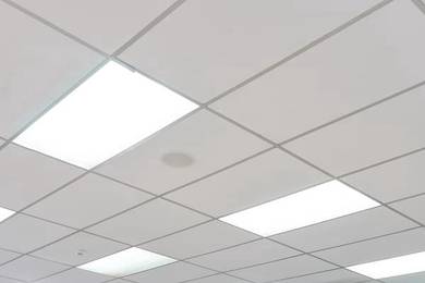 Siling Boards