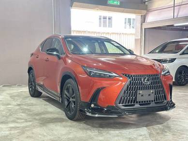 Lexus NX 250 LUXURY in Chan Sow Lin, KUL