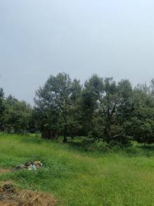 Agricultural Land in Chaah, JHR