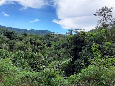 Agricultural Land in Tamparuli, SBH