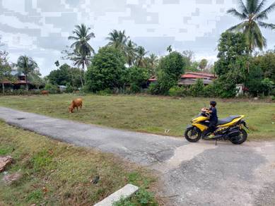 Agricultural Land in Pasir Mas, KTN