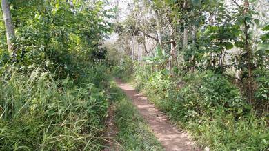 Agricultural Land in Rompin, NSN