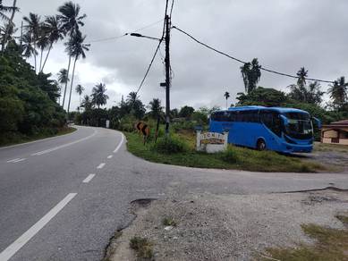 Others Land in Balik Pulau, PNG
