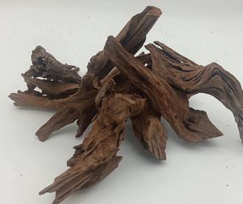 aquarium driftwood saiz 25cm to 30cm