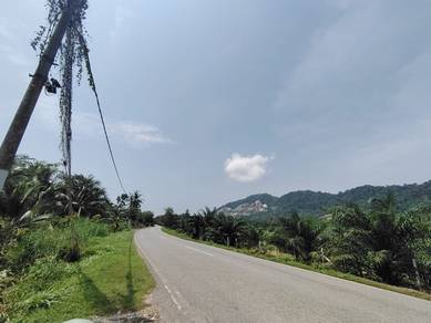 Agricultural Land in Jitra, KDH