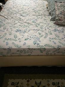 Queen Bed + Mattress