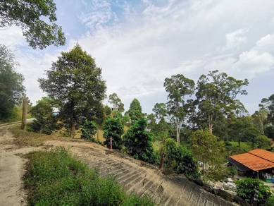 Agricultural Land in Balik Pulau, PNG