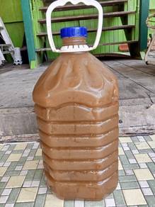 Pati tebu original 