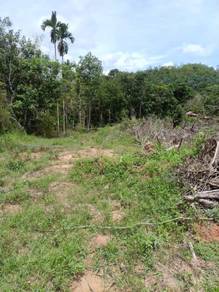 Agricultural Land in Baling, KDH