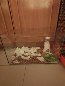 cage&hamster