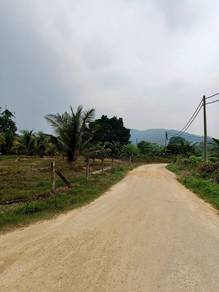 Agricultural Land in Batang Kali, SGR