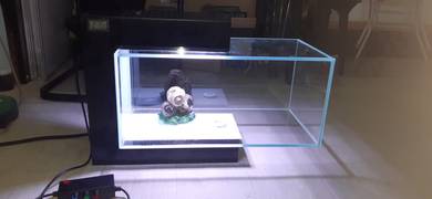 fish aquarium set