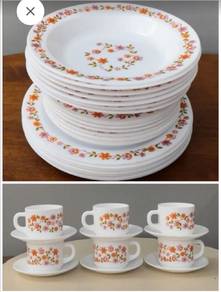 3501 Arcopal Scania dinner set 34pcs