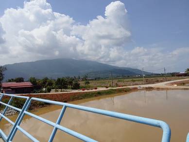 Bungalow House For Sale in Guar Chempedak,KDH