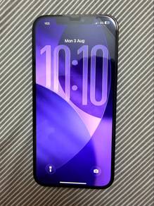 iPhone 12 Pro Max 256GB