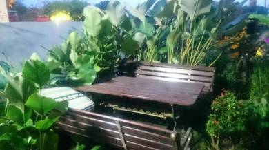 Wood garden Table & chair with cast iron legs