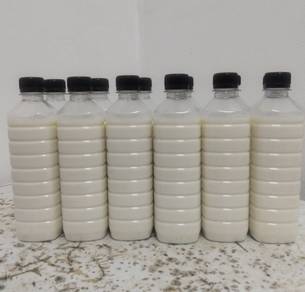susu kambing original/asli 