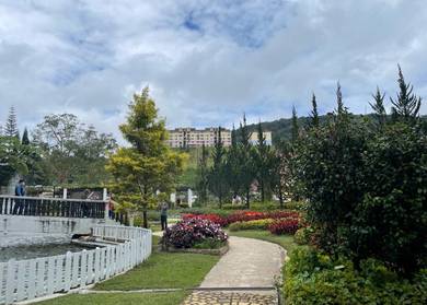 penginapan homestay di Cameron.