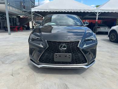 2021 Lexus NX 300 F SPORT
