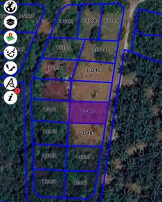 Residential Land in Marang, TRG