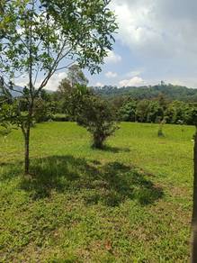 Agricultural Land in Lenggeng, NSN