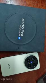 vivo x300pro