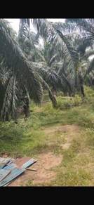 Agricultural Land in Johol, NSN