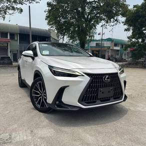 2023 Lexus NX 250 LUXURY