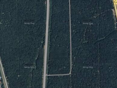 Industrial Land in Padang Meha, KDH