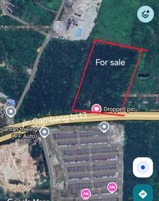 Agricultural Land in Kuantan, PHG