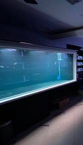 Fish Tank 11ft x 5ft x 4ft