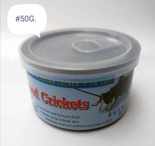 Canned Cricket Cengkerik Dalam Can 50gram Aquarium