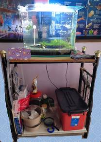 Aquarium with metal rack