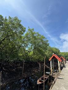 Commercial Land in Kukup, JHR