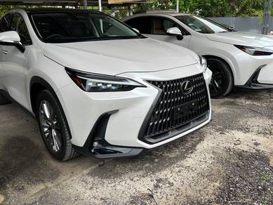 Lexus NX 250 LUXURY in City Centre, KUL