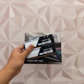 Ram g.skill Trident Z