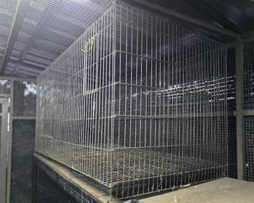 bird cage used (self pickup)