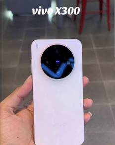 Vivo X300