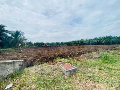 Agricultural Land in Banting, SGR