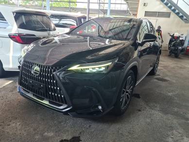 Lexus NX 250 LUXURY in Cheras, KUL