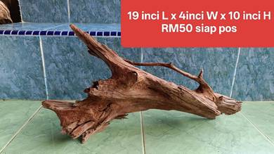 aquarium driftwood body solid tenggelam