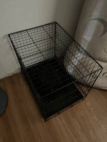 sangkar kucing