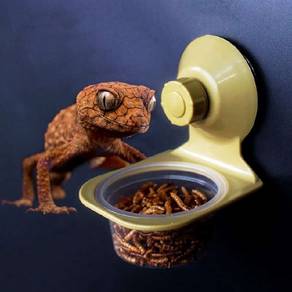 Reptile Water Food Feeding Wall Hanging Dish Bowl