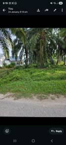 Agricultural Land in Kuala Selangor, SGR