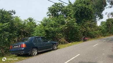 Agricultural Land in Baling, KDH