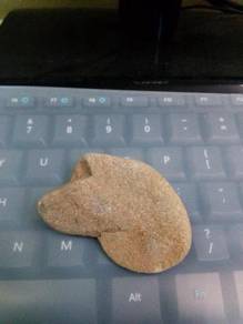 A rare stone shaped like a dog head